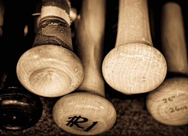 What Wood Options are Used in Baseball Bat Construction?